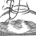 Essig, Tusche auf Papier - 1994-2002